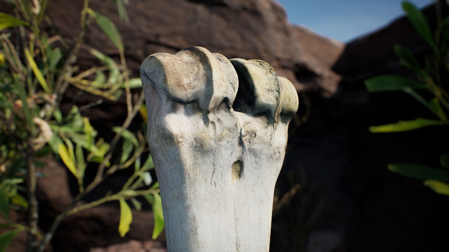 Australian Desert Photoscan Collection