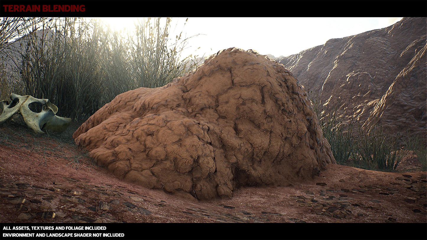 Australian Desert Photoscan Collection