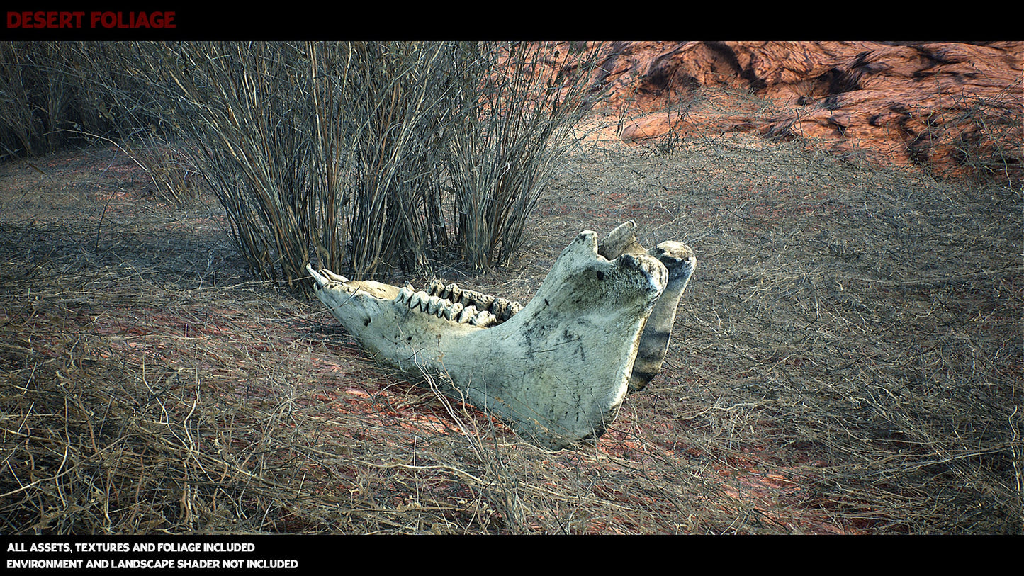 Australian Desert Photoscan Collection