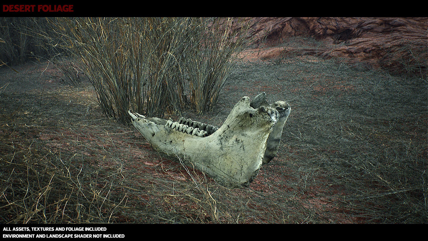 Australian Desert Photoscan Collection
