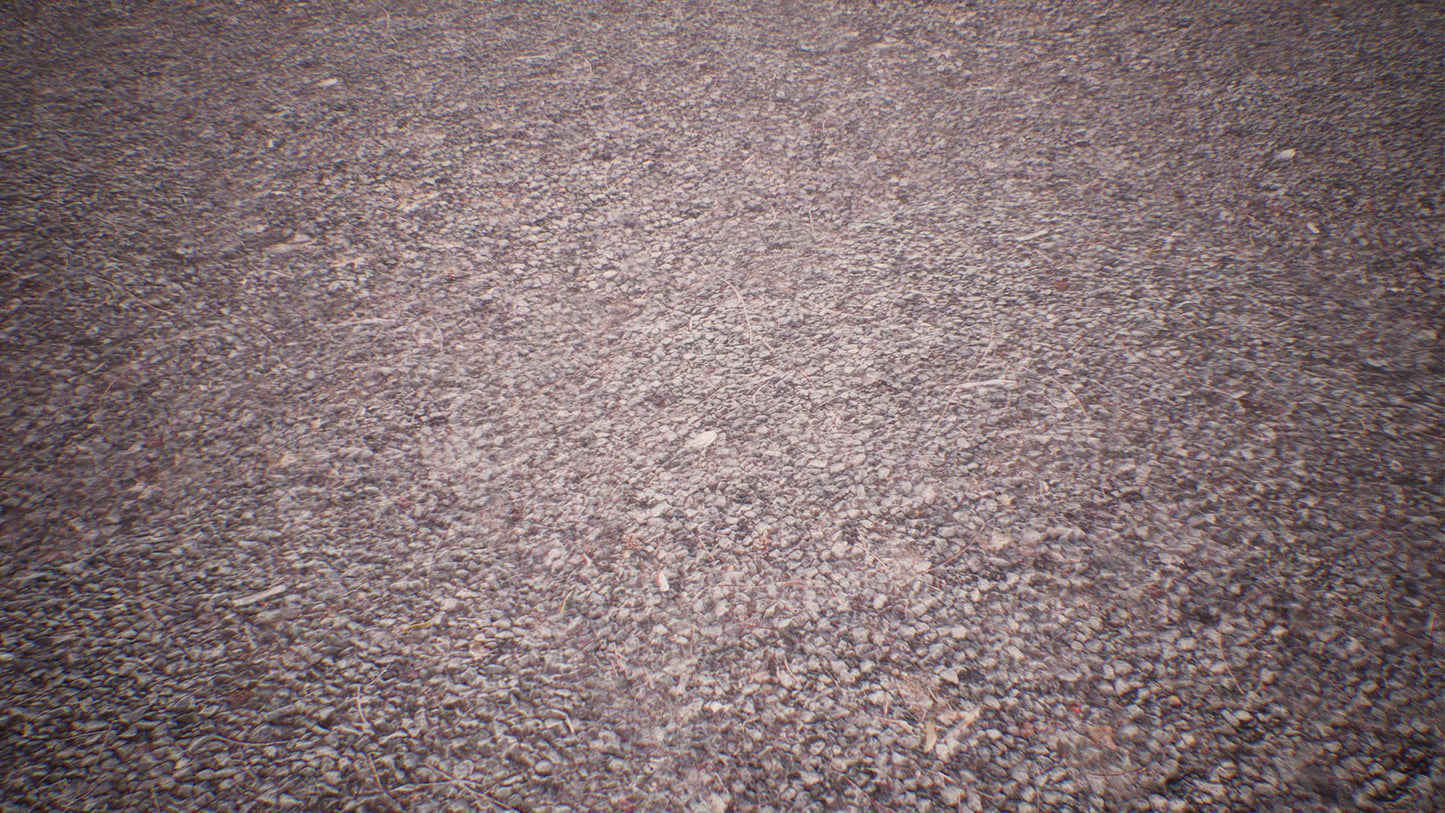 Dry Animal Bones - Photoscan Vol 2.