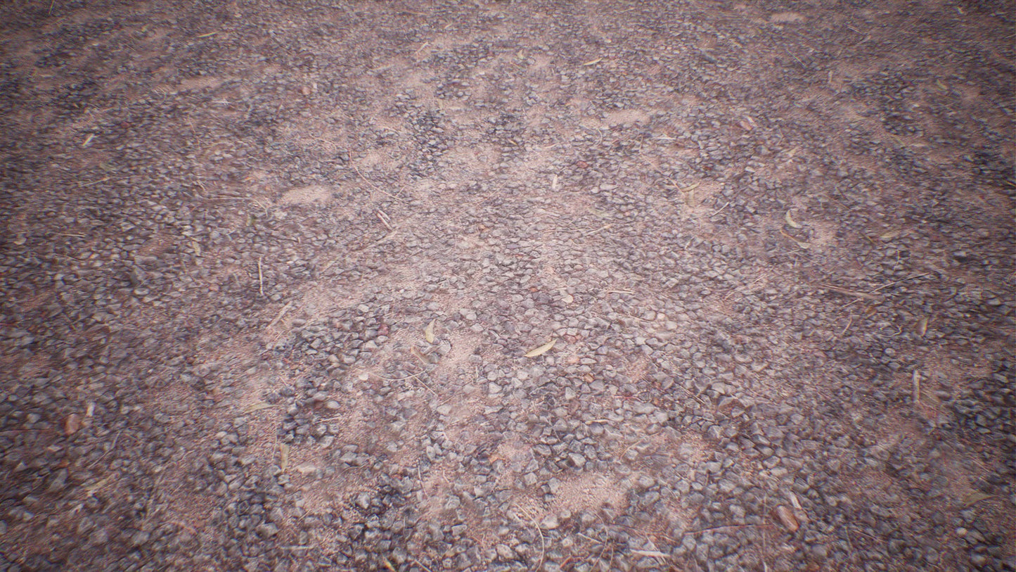 Dry Animal Bones - Photoscan Vol 2.