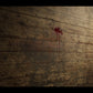 Effects - Animated Blood Decals - Realistic