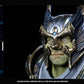 Plate Warrior - Male Dwarfs - Fantasy Dwarf Collection