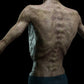 Zombie Collection - Starved Male/Female Twin-Pack