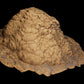 Australian Desert Photoscan Collection