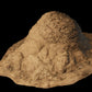 Australian Desert Photoscan Collection