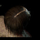 Zombie Collection - Starved Male/Female Twin-Pack