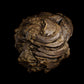 Australian Desert Photoscan Collection