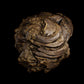 Animal Dung/Feces - Horse and Cow - Photoscan Vol 3.