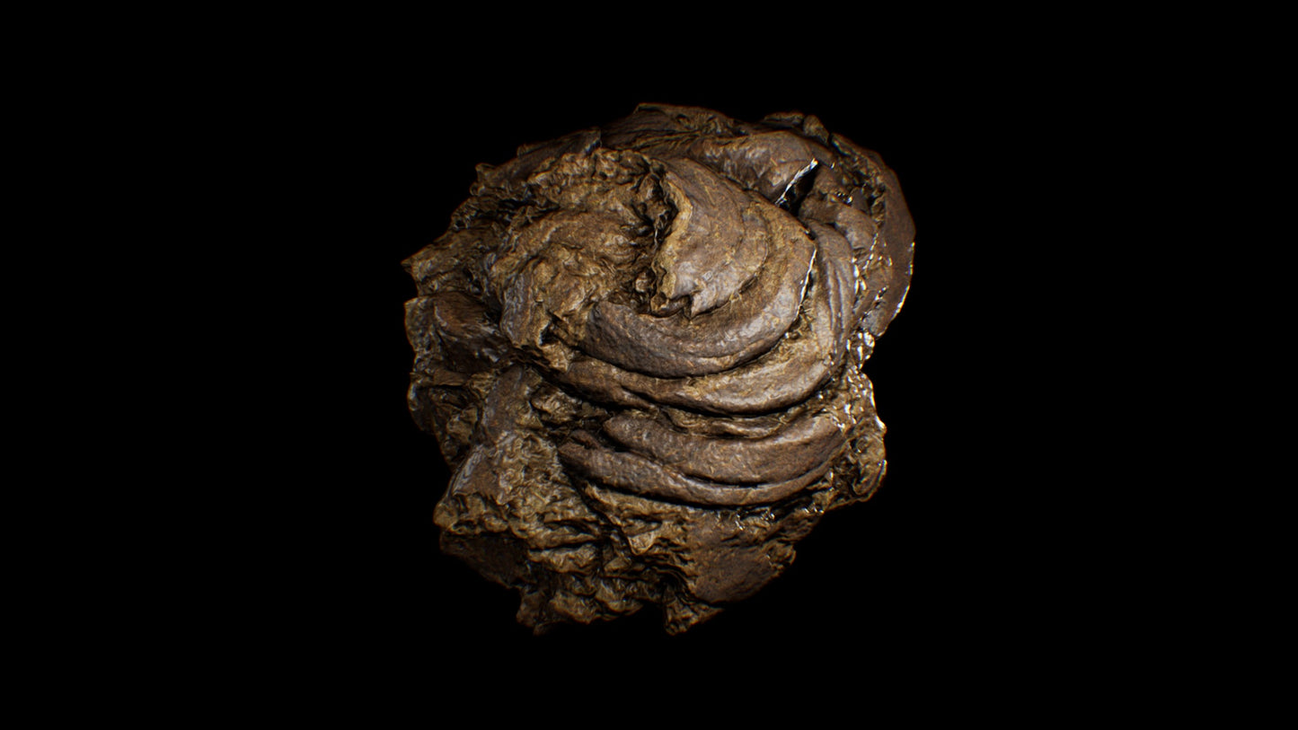 Animal Dung/Feces - Horse and Cow - Photoscan Vol 3.