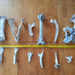 Dry Animal Bones - Photoscan Vol 2.