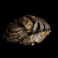 Australian Desert Photoscan Collection
