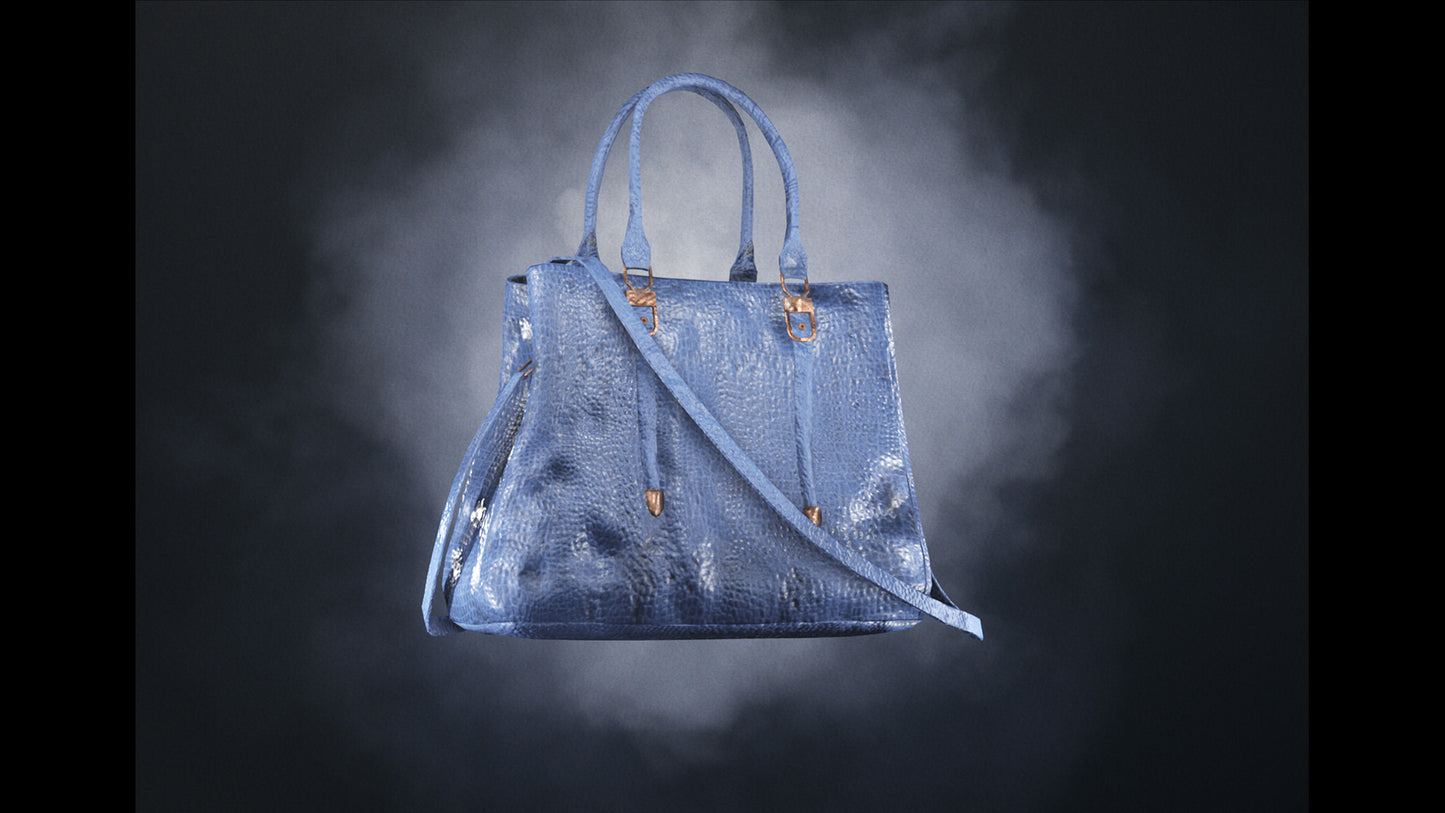 Props - Luggage, Suitcases and Handbags - Vol 1.
