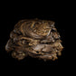 Animal Dung/Feces - Horse and Cow - Photoscan Vol 3.