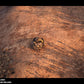 Australian Desert Photoscan Collection
