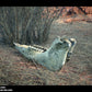 Australian Desert Photoscan Collection