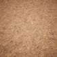Dry Animal Bones - Photoscan Vol 2.