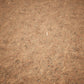 Dry Animal Bones - Photoscan Vol 2.