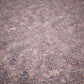 Dry Animal Bones - Photoscan Vol 2.