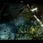 Effects - Realistic Decomposition