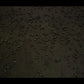 Effects - Realistic Decomposition