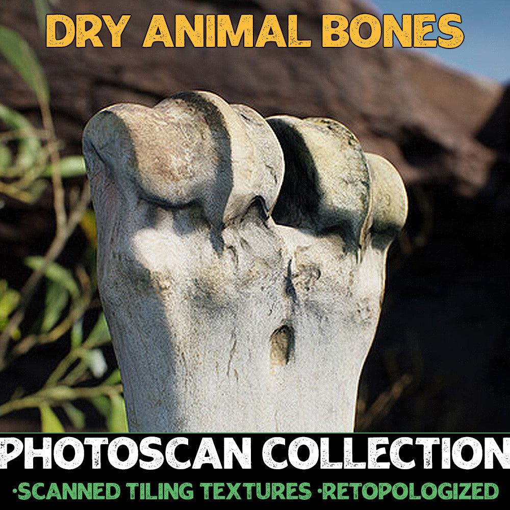 Dry Animal Bones - Photoscan Vol 2.