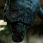 Zombie Collection - Dismembered Male