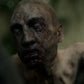 Zombie Collection - Dismembered Male