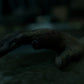 Zombie Collection - Dismembered Male